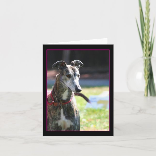 Greyhound notecard kort (Framsida)