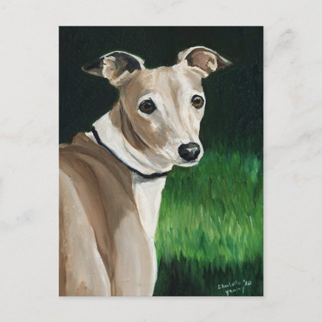 Greyhound Original Hund Art Postcard Vykort (Framsida)