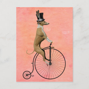 Greyhound på Black Penny Farthing Vykort