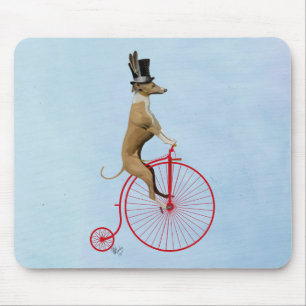 Greyhound på Red Penny Farthing Musmatta
