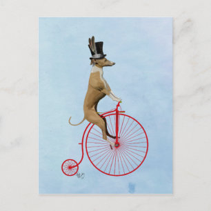 Greyhound på Red Penny Farthing Vykort