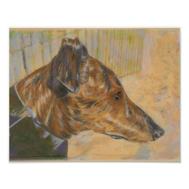 Greyhound på stranden fototryck (Framsidan)