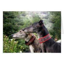 Greyhound på varningen OBS kort