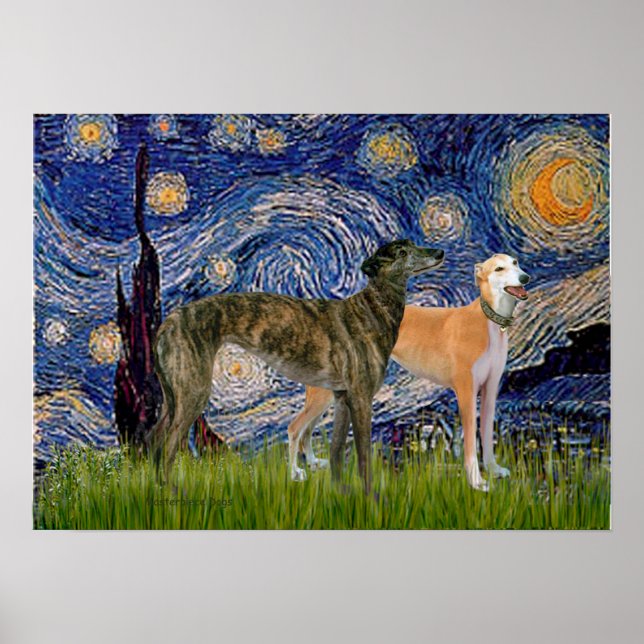 Greyhound Pair - Starry Natt Poster (Framsidan)