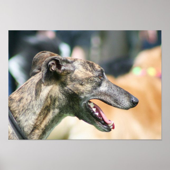 Greyhound poster (Framsidan)