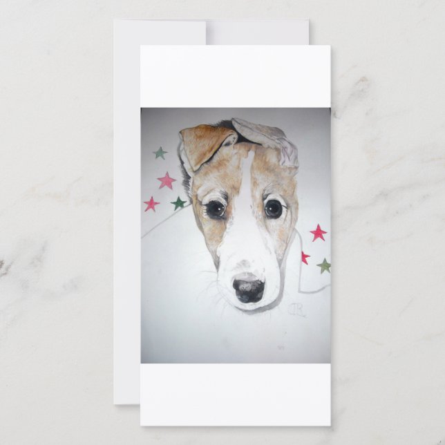Greyhound Puppy (Framsida)