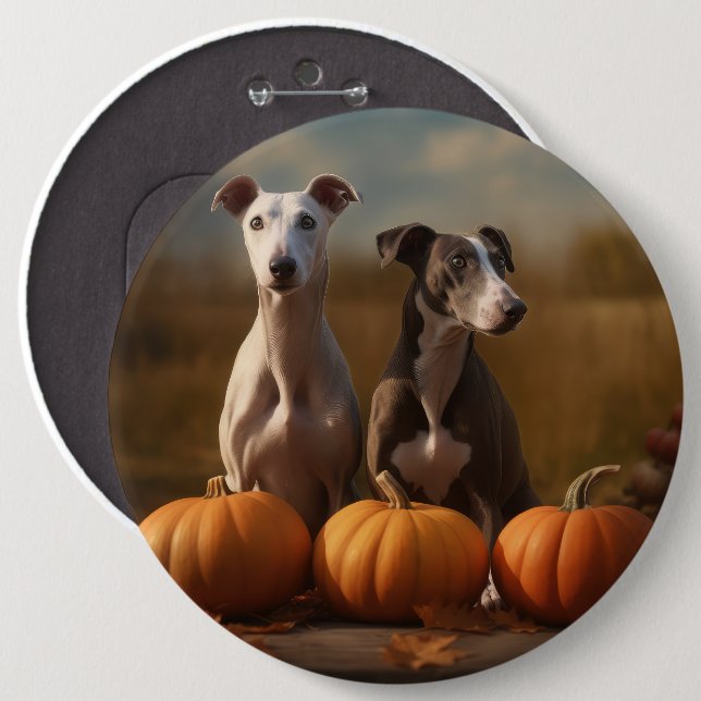 Greyhound Puppy Autumn Delight Pumpkin Knapp (Framsida & baksida)