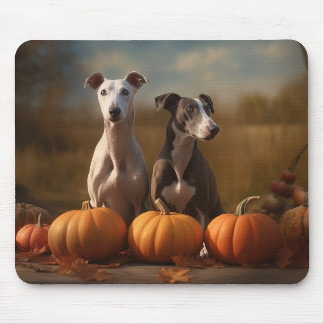 Greyhound Puppy Autumn Delight Pumpkin Musmatta (Framsidan)