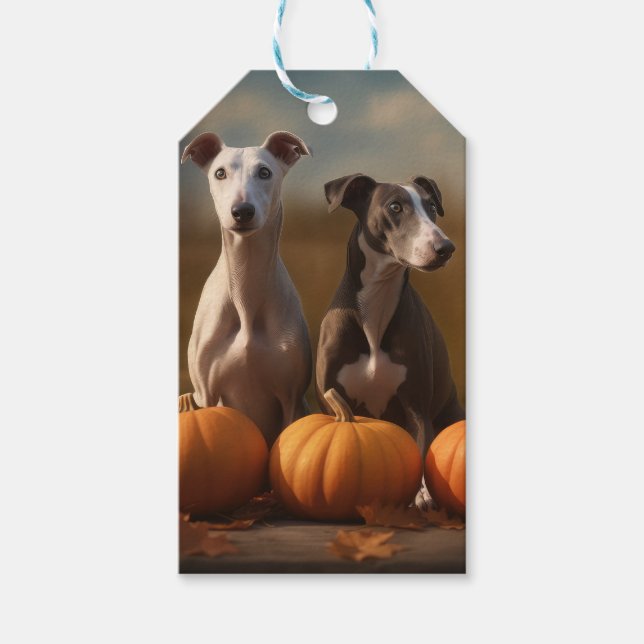 Greyhound Puppy Autumn Delight Pumpkin Presentetikett (Framsidan)