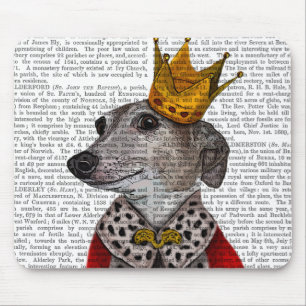 Greyhound Queen Musmatta