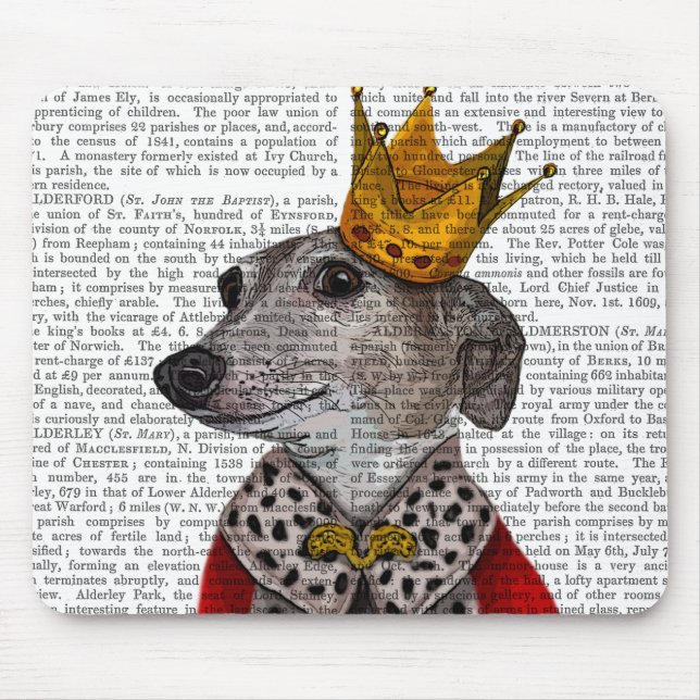 Greyhound Queen Musmatta (Framsidan)