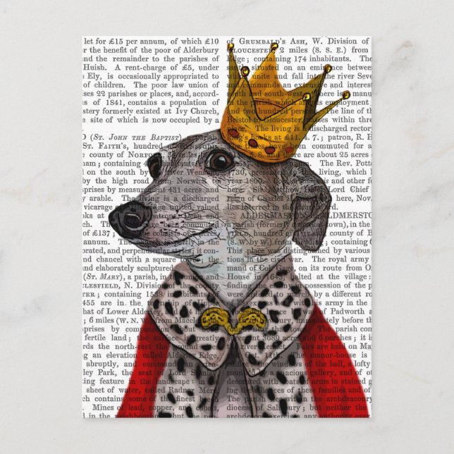 Greyhound Queen Vykort (Framsida)