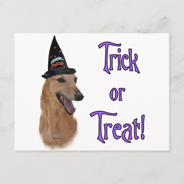 Greyhound (röd) Trick Vykort (Framsida)