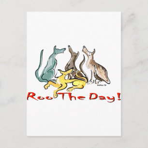 greyhound roo vykort