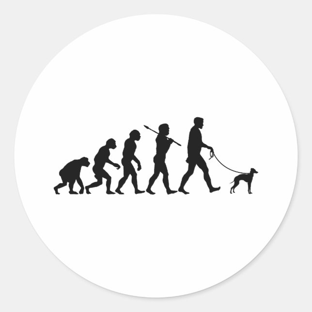 Greyhound Runt Klistermärke (Framsida)