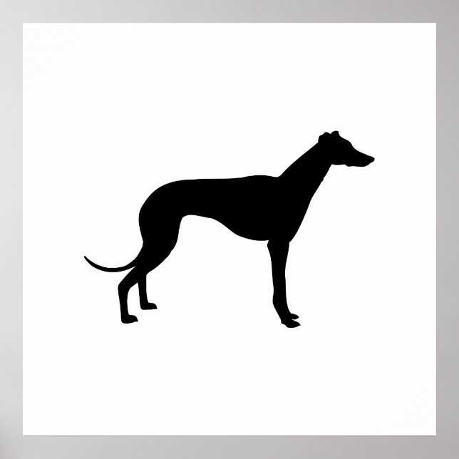 Greyhound Silhouette Poster (Framsidan)