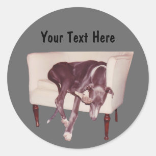 Greyhound Sleeping, ordförande Rolig hund Sticker Runt Klistermärke