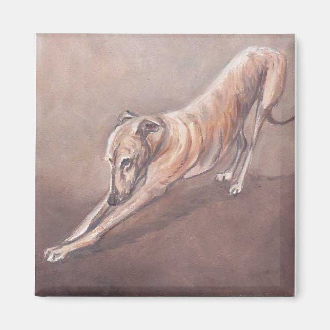 Greyhound Stretch Hund Art Magnet (Framsidan)