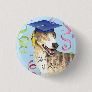 Greyhound Student Knapp