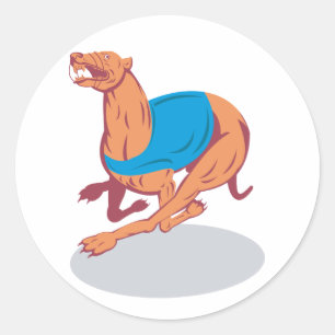 Greyhound Tävla Stickers Runt Klistermärke