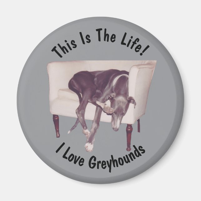 Greyhound This Is The Life  Magnet (Framsidan)
