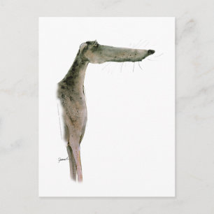 Greyhound, tony fernandes vykort