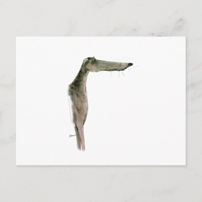 Greyhound, tony fernandes vykort (Framsida)