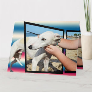 Greyhound Tre Dimensional Big Greeting Card Kort