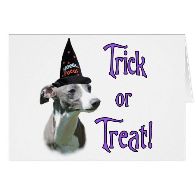 Greyhound Trick Hälsningskort (Framsidan Horizontal)