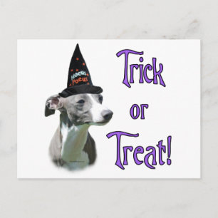 Greyhound Trick Vykort