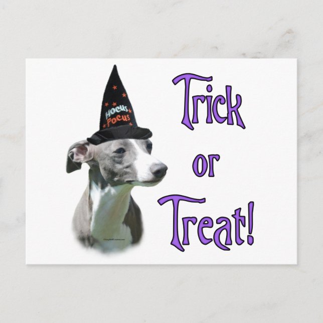 Greyhound Trick Vykort (Framsida)