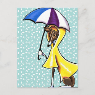 Greyhound Umbrella Crazy Vykort