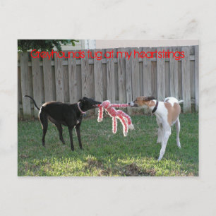 Greyhound-uppteckningar vykort