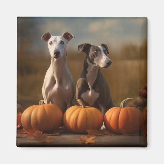 Greyhound Valp Höstglädje Pumpa Magnet (Framsidan)