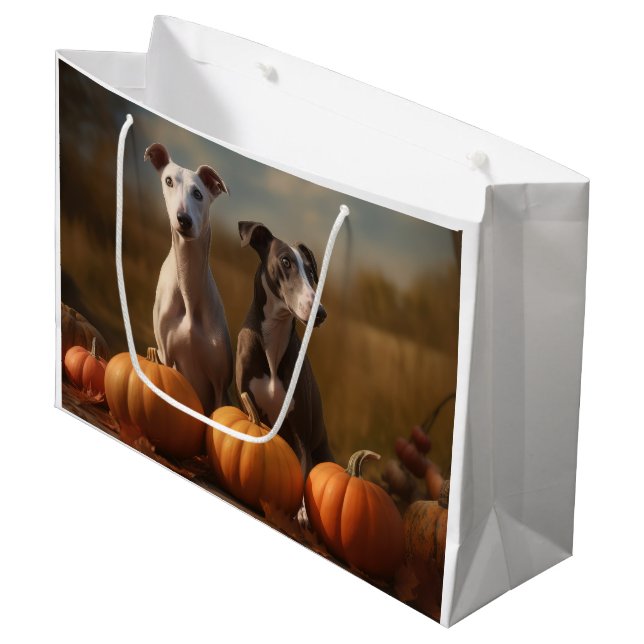 Greyhound Valp Höstglädje Pumpkin (Framsidan Vinklad)