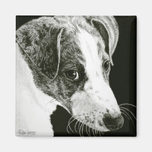 Greyhound Valp Magnet - "Paddy"