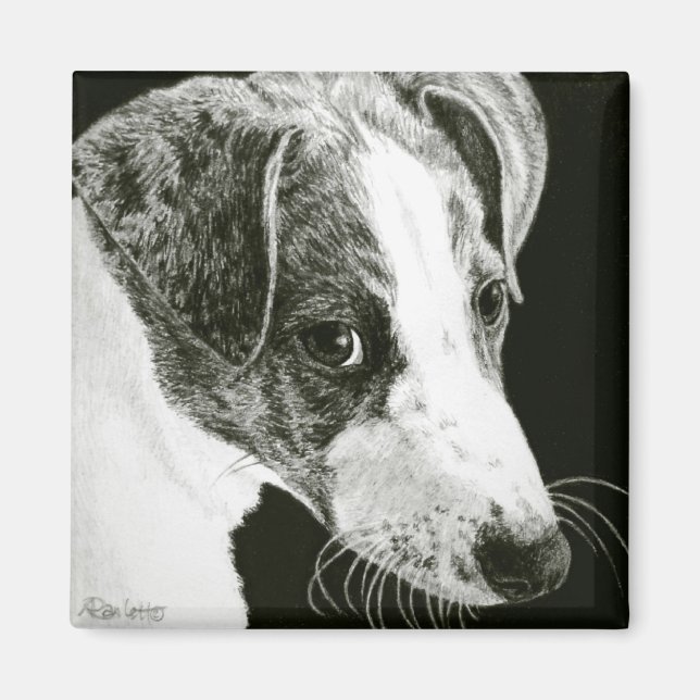 Greyhound Valp Magnet - "Paddy" (Framsidan)