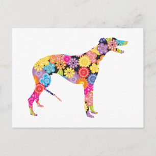 Greyhound Vykort