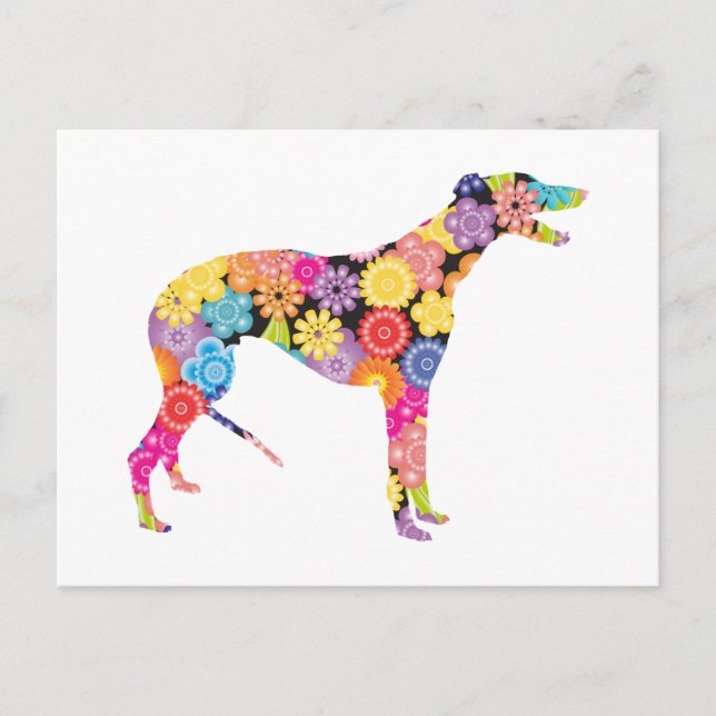 Greyhound Vykort (Framsida)