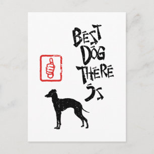 Greyhound Vykort