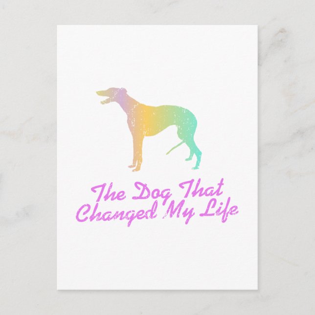 Greyhound Vykort (Framsida)