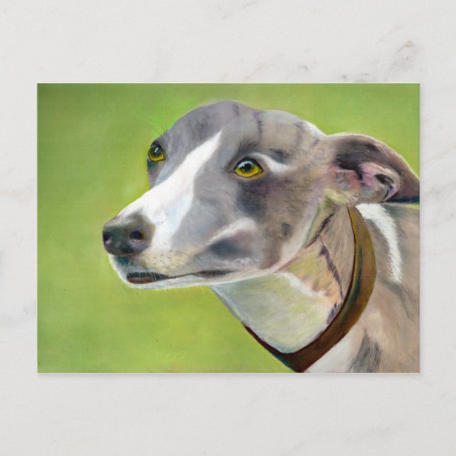 Greyhound-vykort (a404) vykort (Framsida)