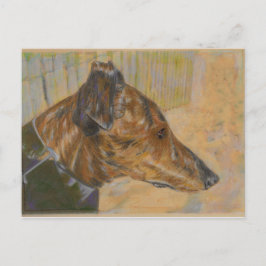 Greyhound-vykort Vykort