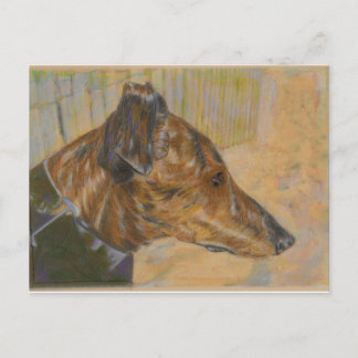 Greyhound-vykort Vykort