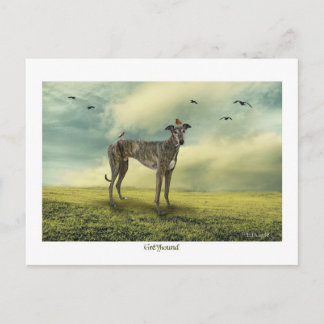 Greyhound-vykort Vykort