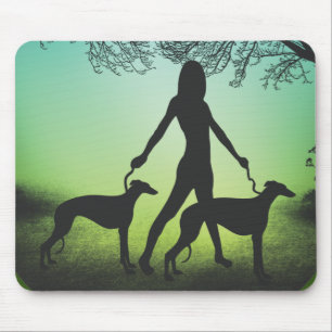 Greyhound Walk Musmatta