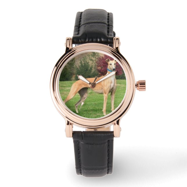 Greyhound Watch Armbandsur (Framsida)