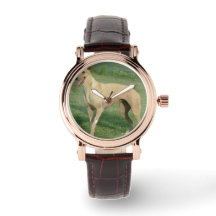 Greyhound Watch by Hevener