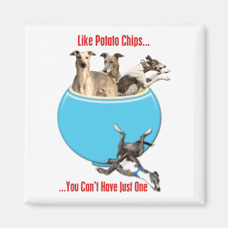 Greyhounds som Potato Chip Magnet