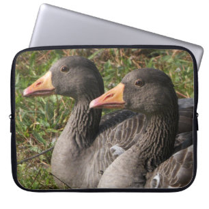 Greylag Geese Laptop Fodral